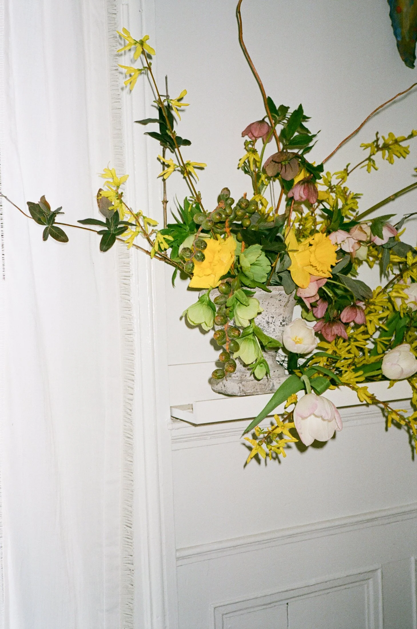 MOP film 041423-12.jpg