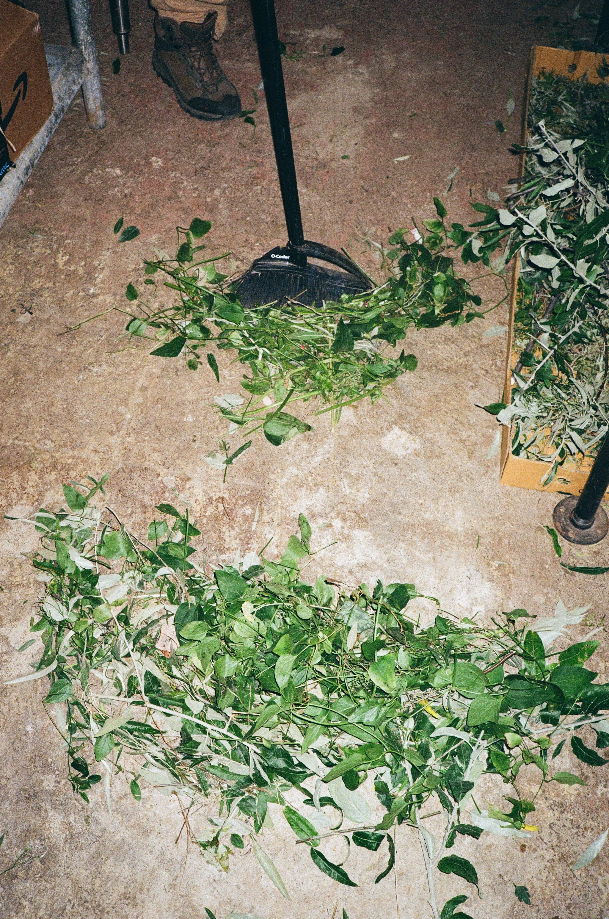 MOP-OCT25-4-30 copy.jpg