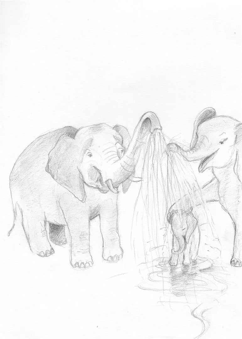 Illustration Marina Wild Illustration marina wild