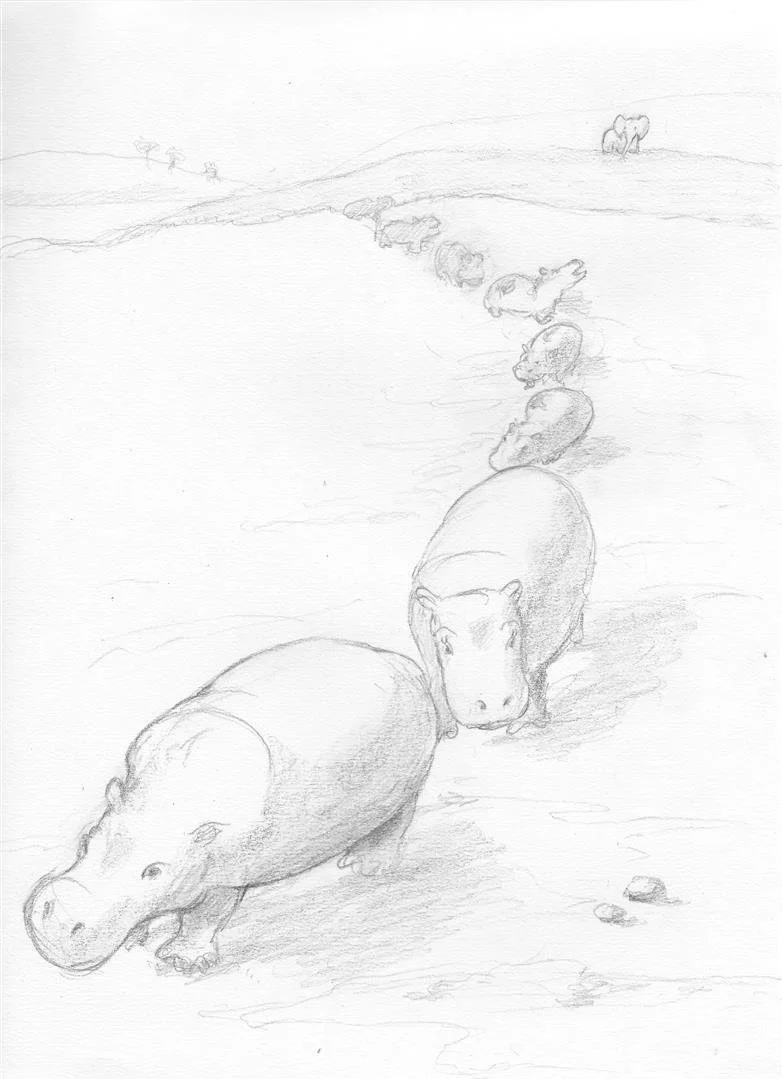 Illustration marina wild