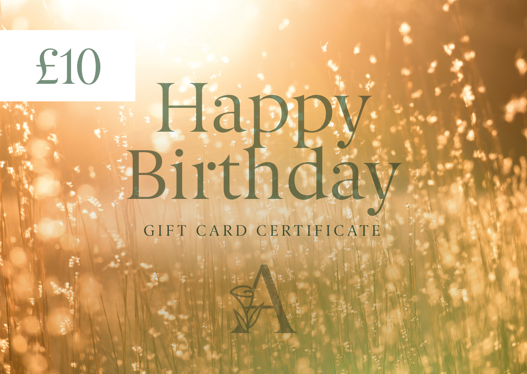 Ananda gift cards digital_05_Ananda Reflexology_eGift-card_Happy-Birthday_£10.png