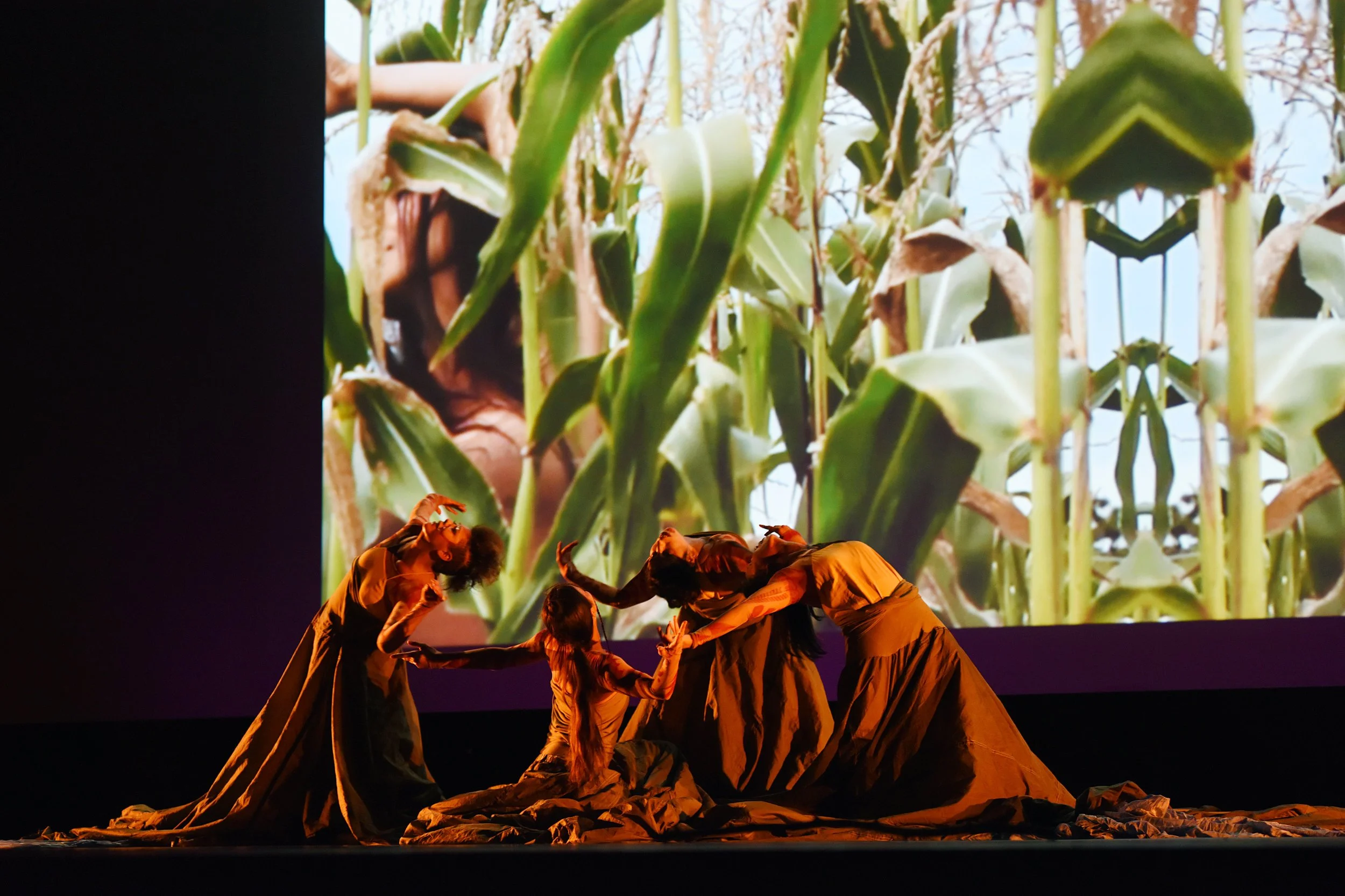 _Tim Trumble for Dancing Earth 81 copy.JPG