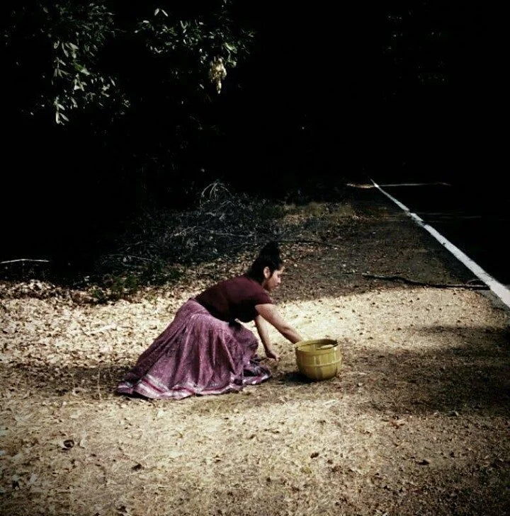 DE_ACORN DEMONSTRATION-2.jpeg