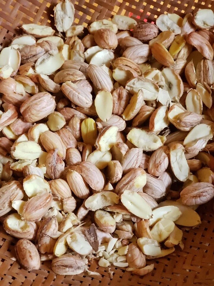 DE_ACORN DEMONSTRATION-3.jpeg