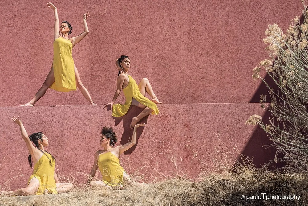 Dancing Earth’s ongoing creative, cultural, and communal response.