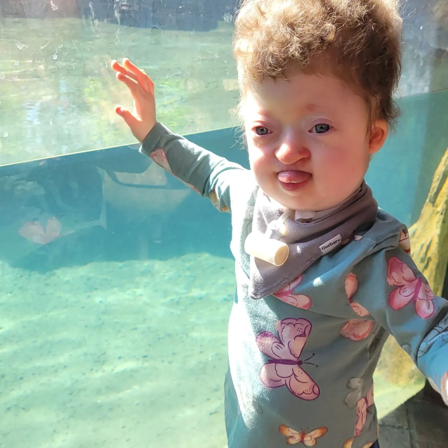 Spring break at the @nashvillezoo is the best!

Especially when the lorikeets licked the sweat off Harrison's head for 15 minutes lol

Not pictured: having another mom of 4 there to help wrangle the kids. @_chelseahutton_ was a dream to have with us!