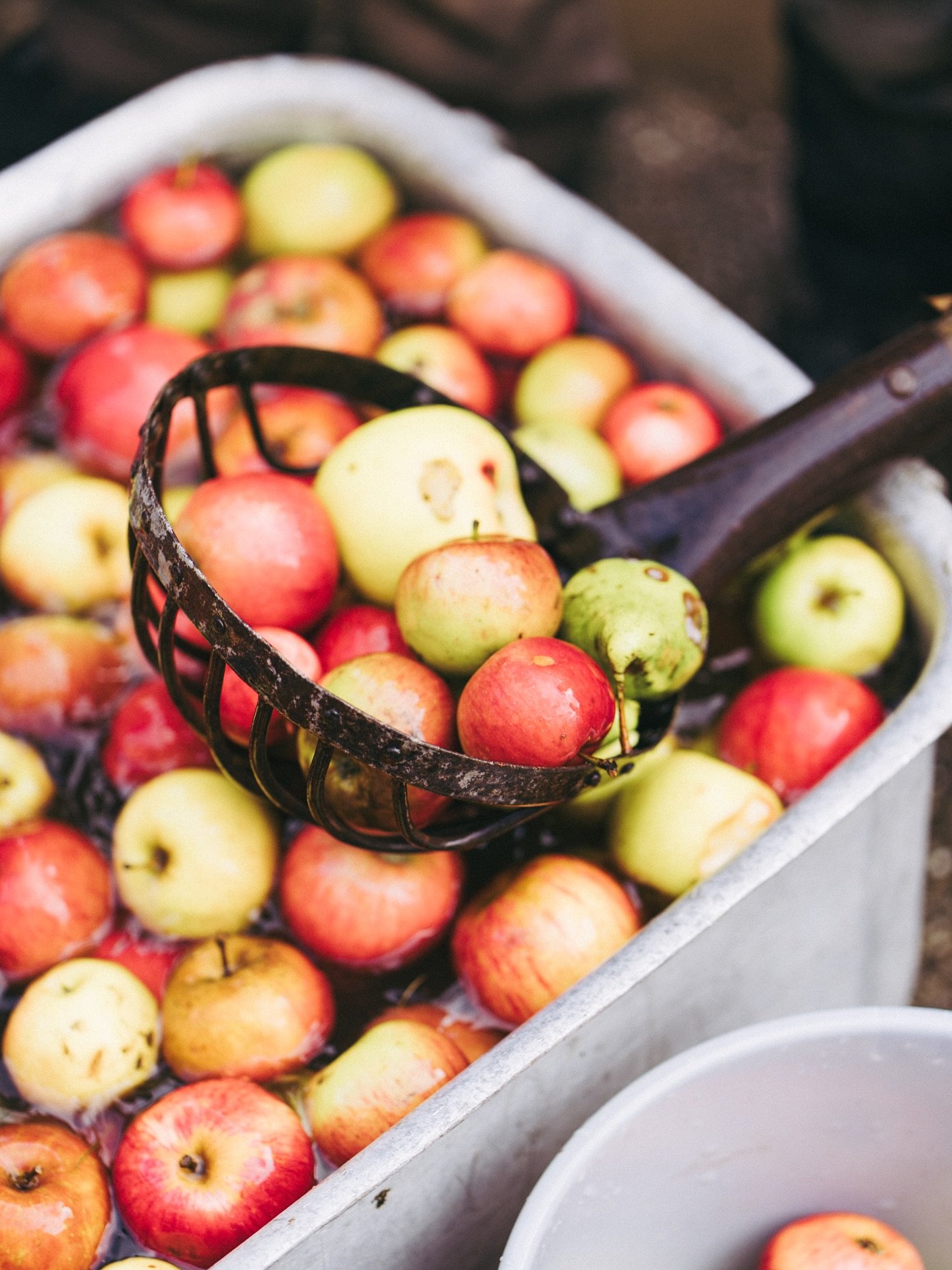 Auch dieses Jahr hie&szlig; es mal wieder: each one - teach one. Es war wiedermal ein Erlebnis einen lokalen Kindergarten zum Saftpressen zu Besuch zu haben! 

#apfelsaft #wissenwosherkommt #lokalelebensmittel