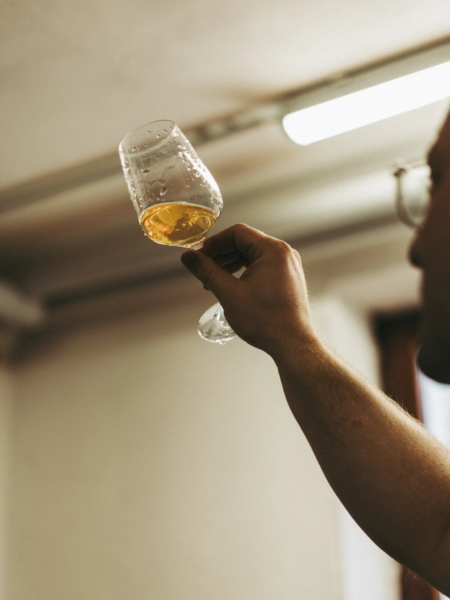 Hallo 2026 :) 

Seit dem Herbst arbeiten wir wieder an ein paar &Uuml;berraschungen f&uuml;r euch f&uuml;r dieses Jahr. In den n&auml;chsten Wochen erfahrt ihr mehr. Am besten @thewatersdistillery abonnieren und die 🔔 antippen damit ihr nichts verpa