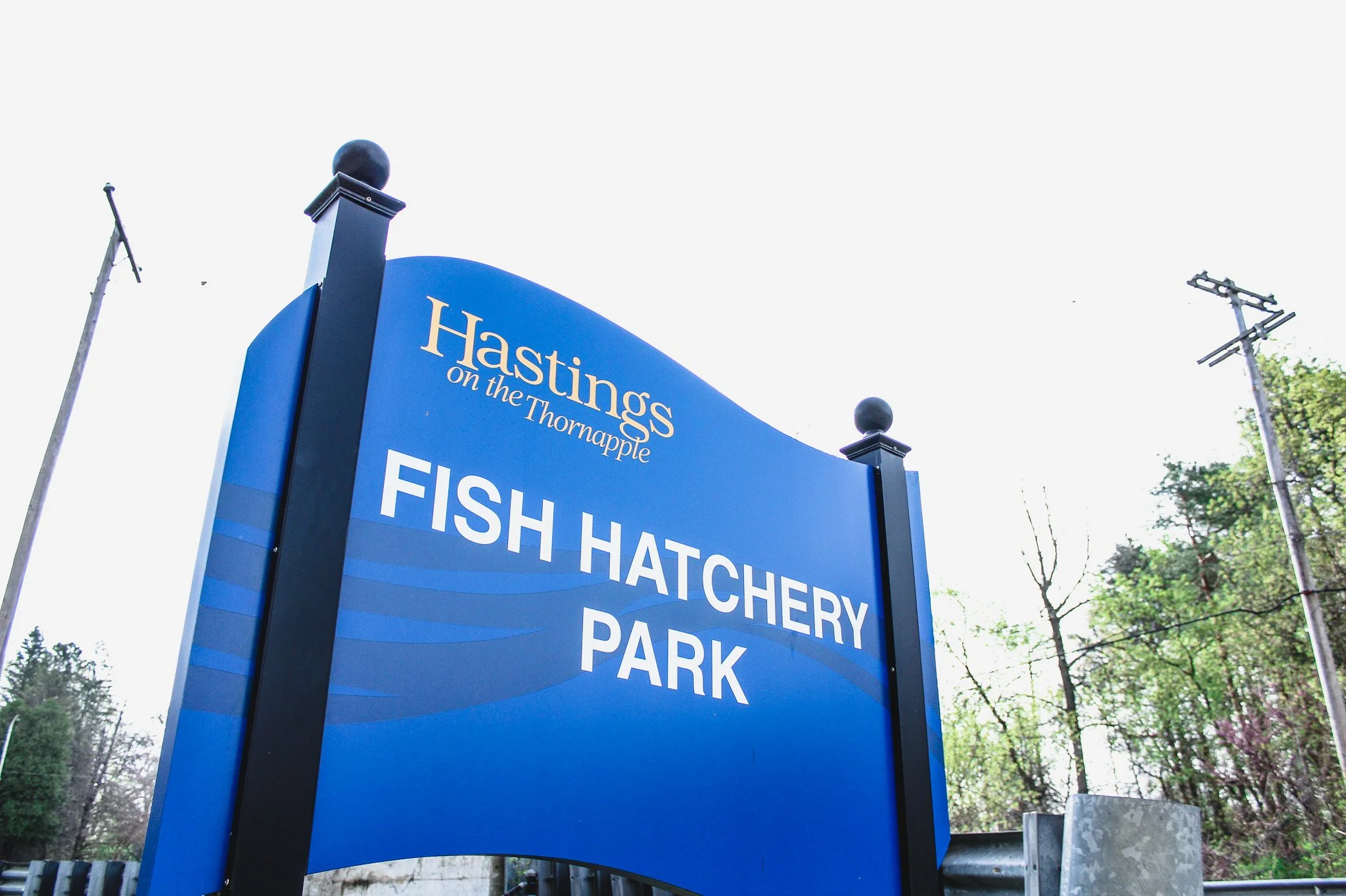 Fish Hatchery Park — Explore Barry County