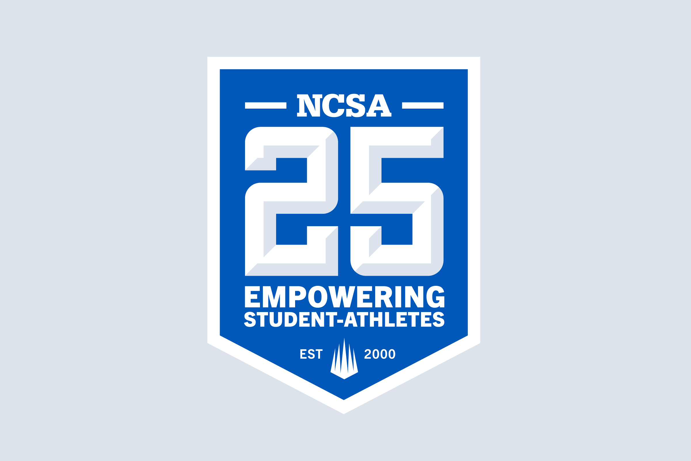 NCSA_25_Years_pressrelease-new.png