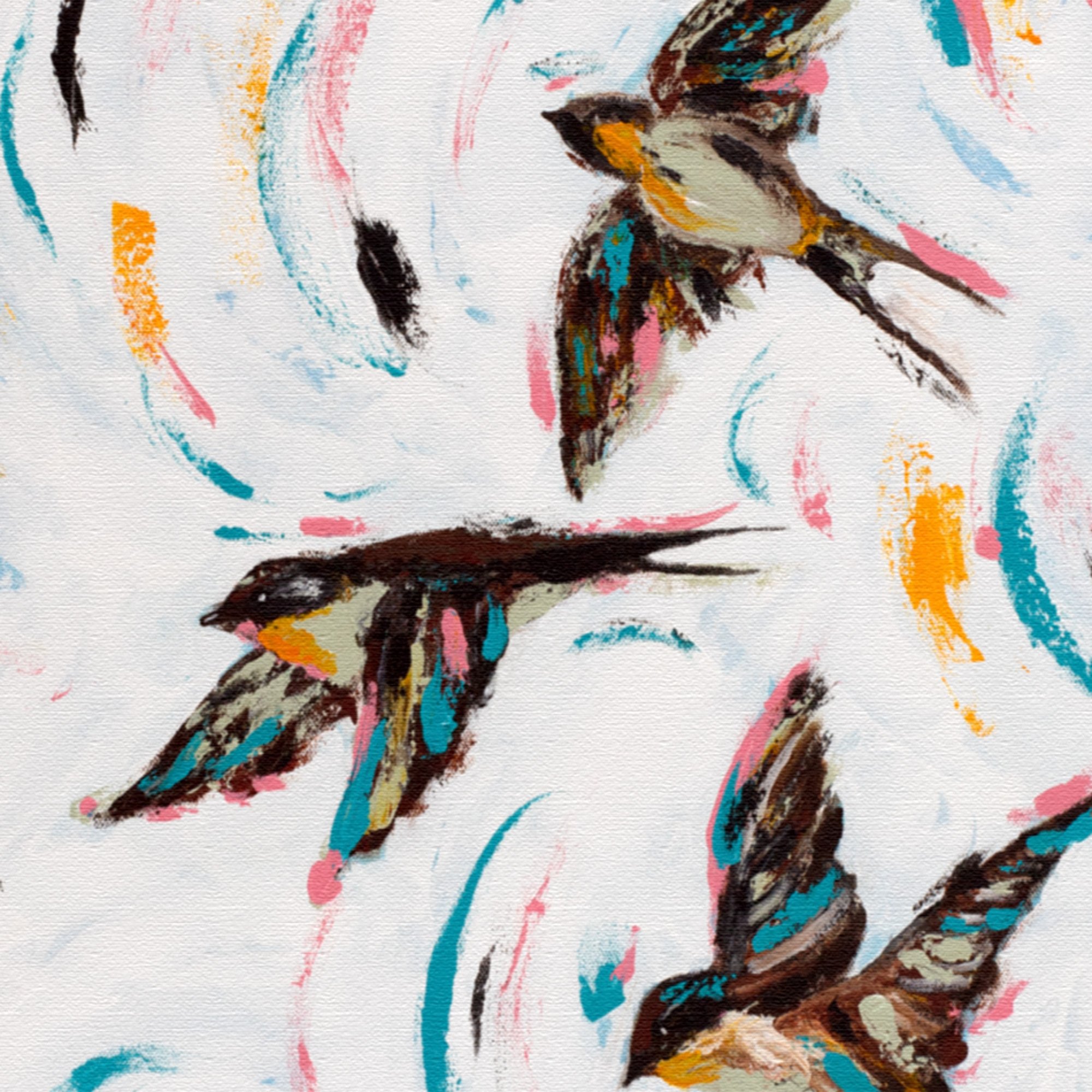 swooping-swallows-b.jpg