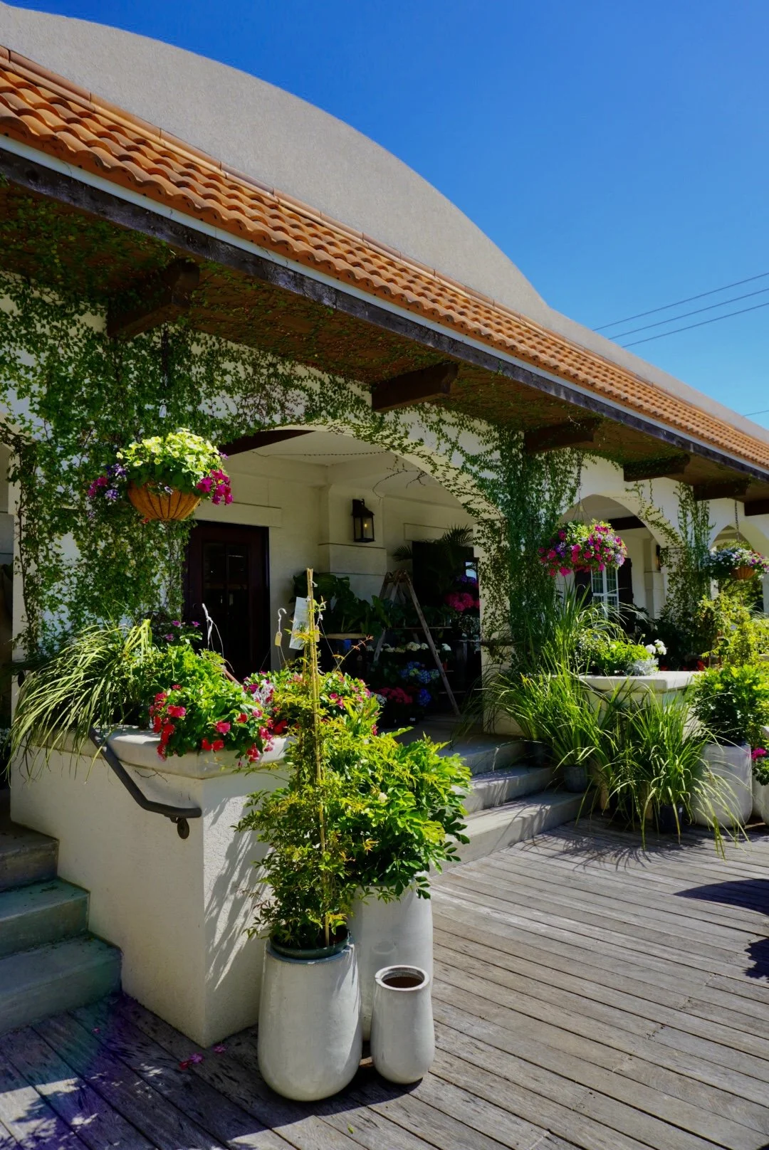 Image - Copy (15).jpeg