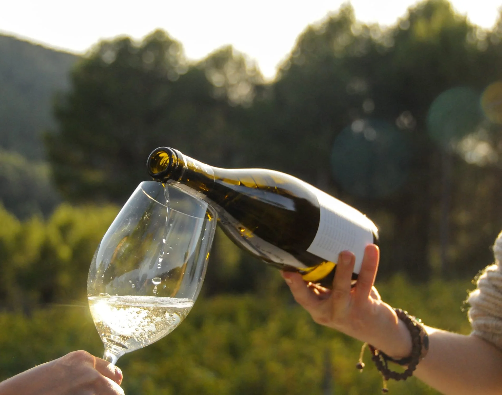 Persona sirviendo vino blanco de una botella en una copa al aire libre con fondo de árboles y luz natural.