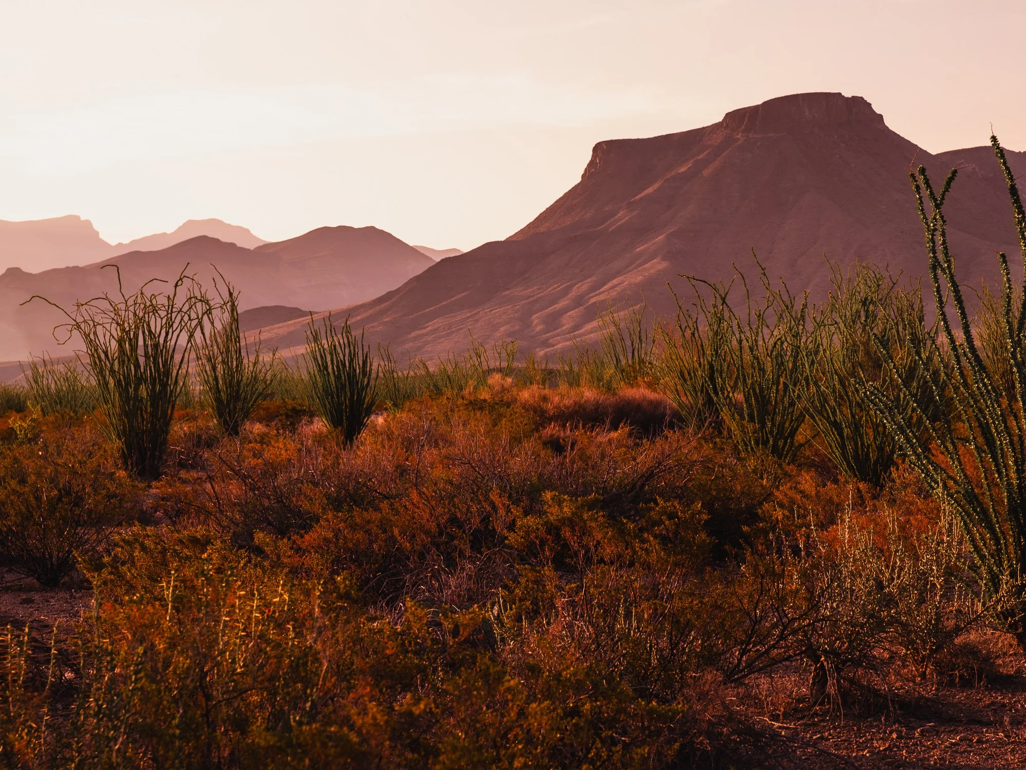big bend-9.jpg