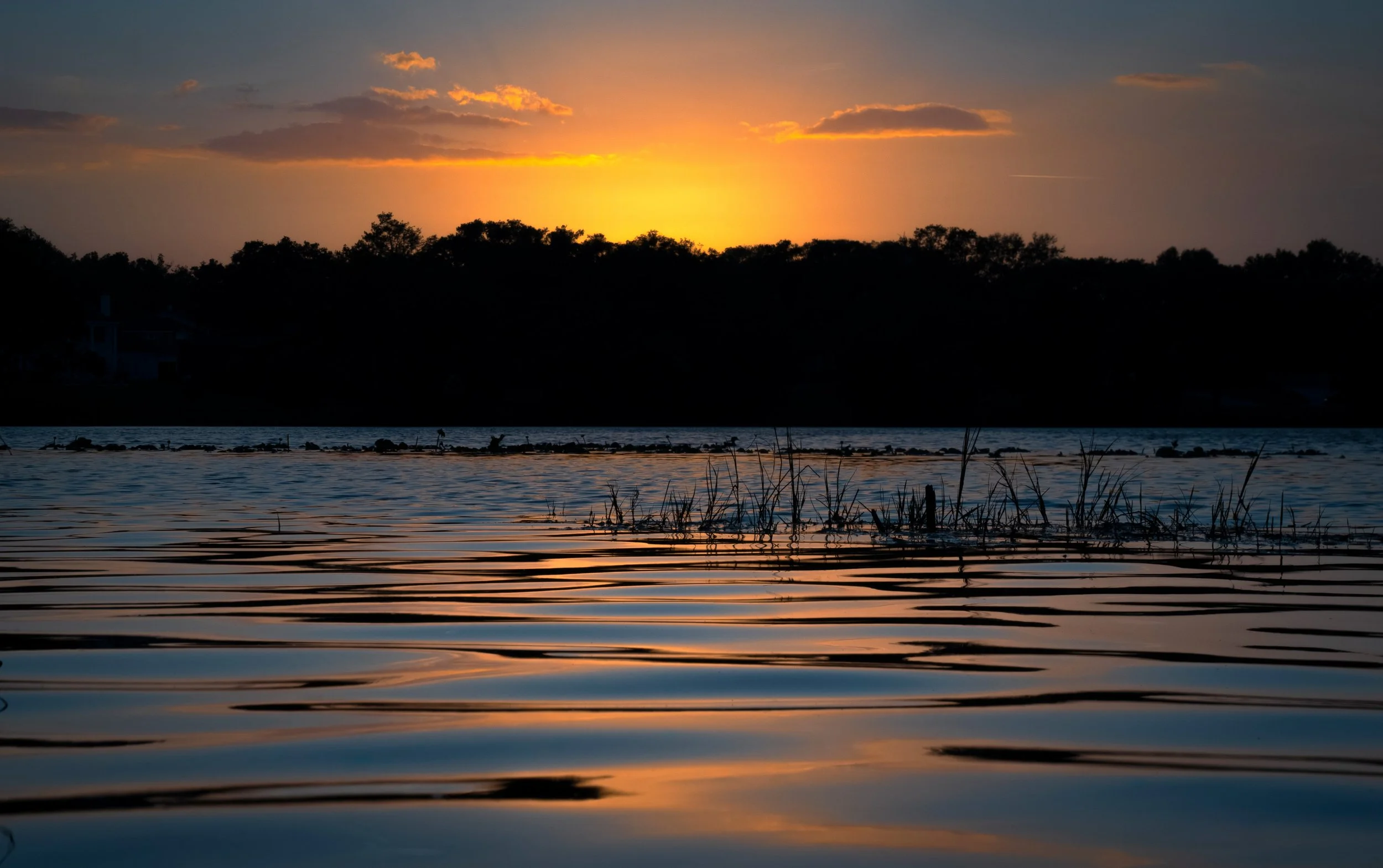Blue Golden sunset.jpg