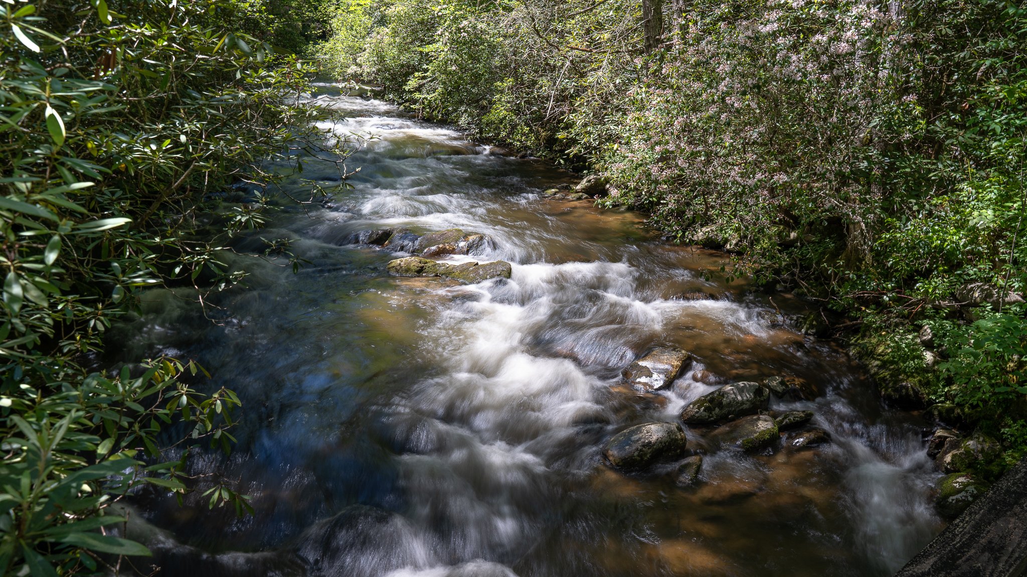 river bend-2.jpg
