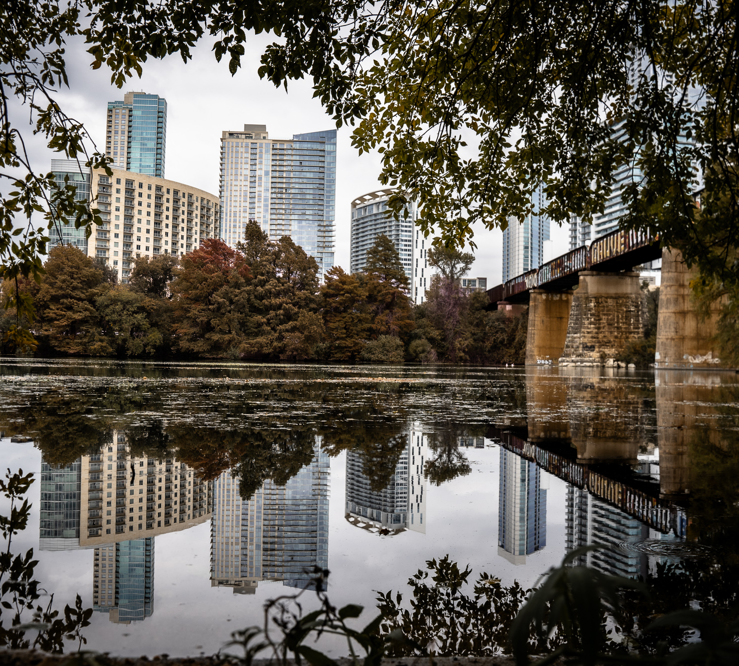 Lady Bird reflection square.png