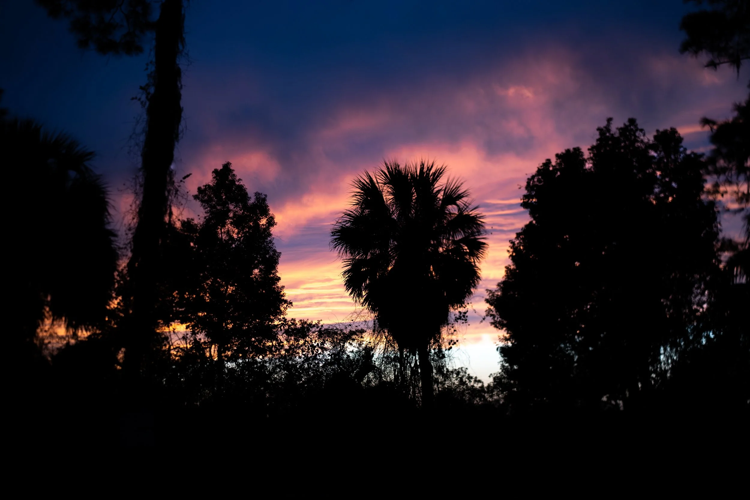 Cotton Candy Sky.JPG