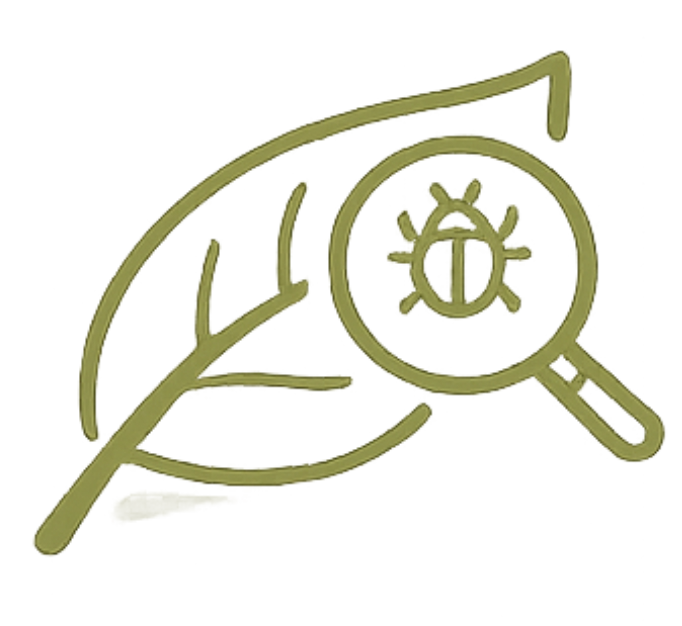 A gold-colored illustration of a magnifying glass searching for a bug, symbolizing bug or issue investigation.