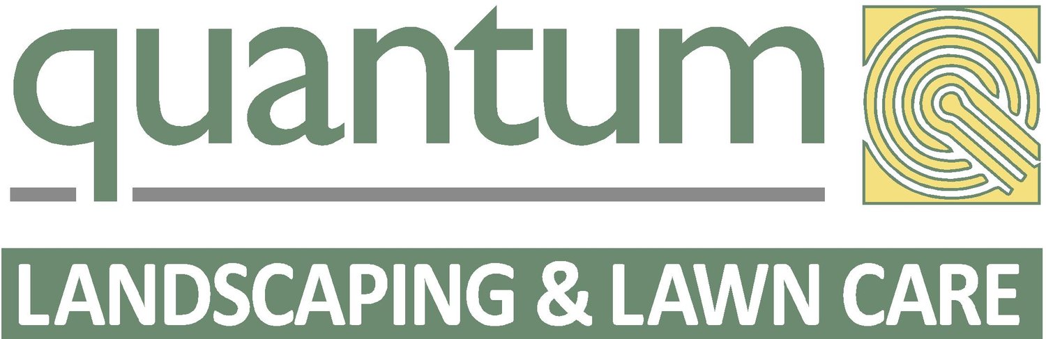 Quantum Landscaping