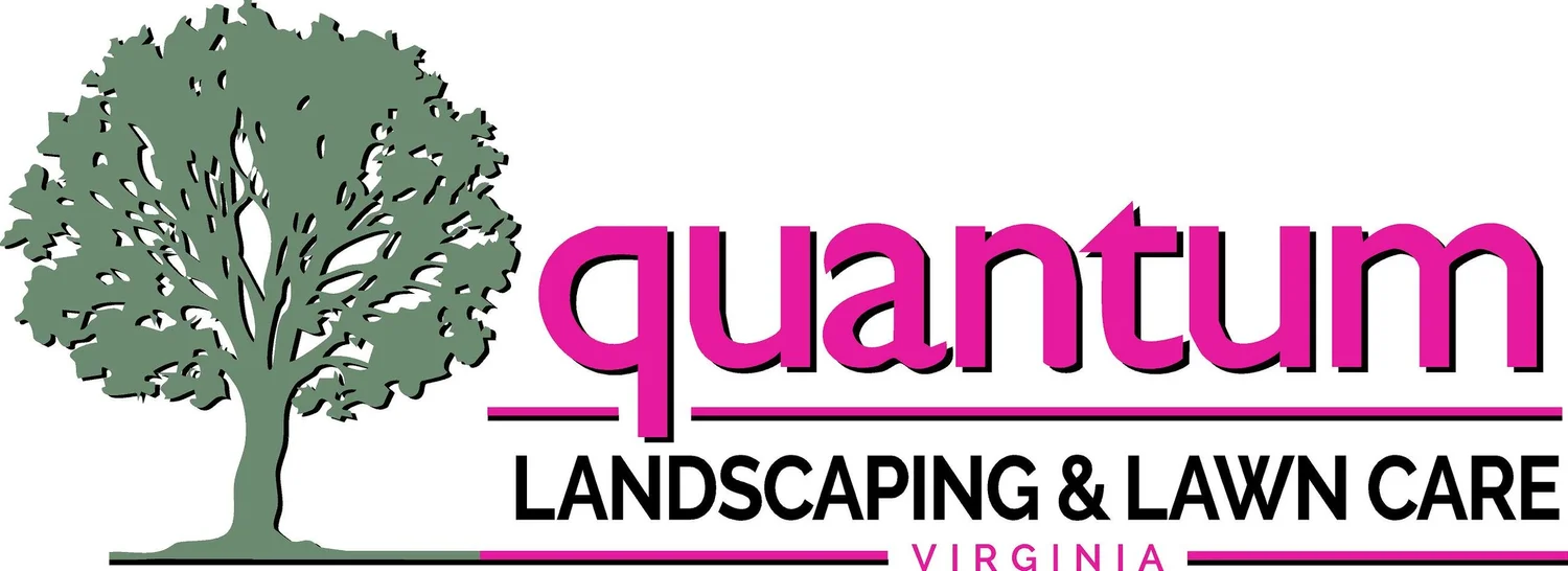 Quantum Landscaping