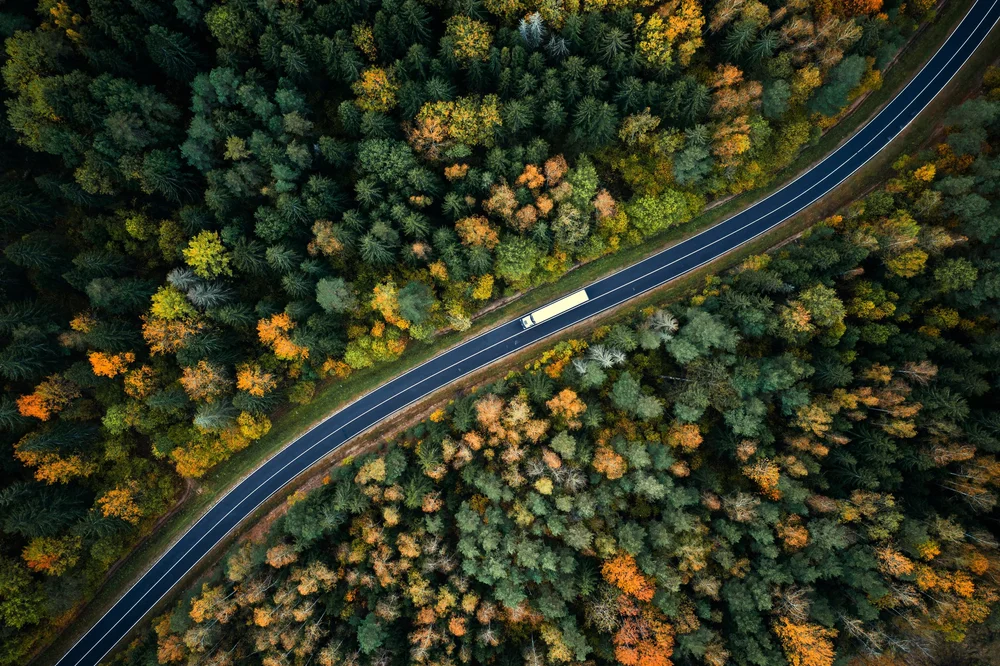 About Us — TW Services