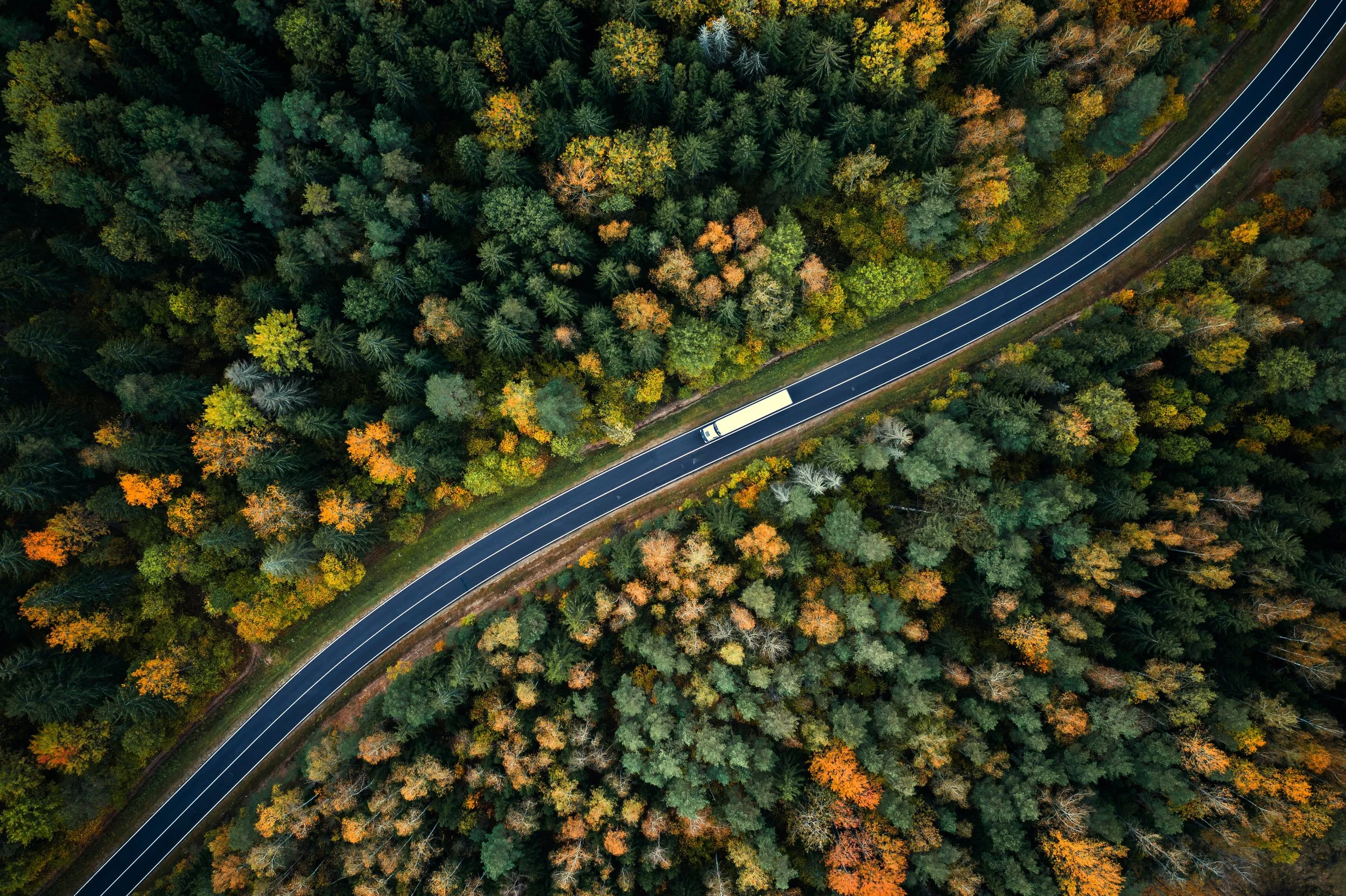 About Us — TW Services