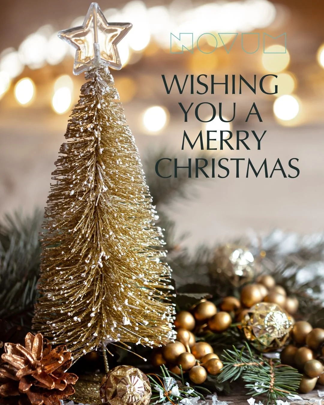 Merry Christmas 🎄

Wishing you a day filled with love, laughter, and happy moments.

#MerryChristmas #ChristmasJoy #FestiveFeels #ChristmasWishes #CheshireLife #LocalLove #NovumFamily #novumhairandbeauty  #novumskinandwellness  #novumsalons