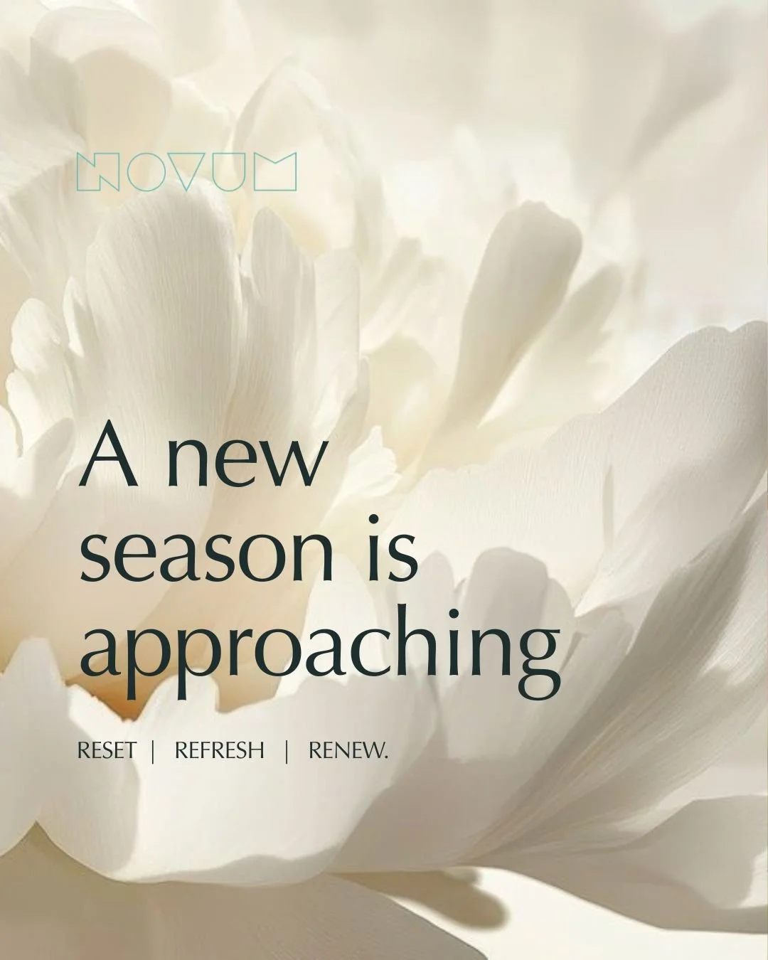 🌿 The new season is almost here&hellip; and you can feel the shift.🌿

The evenings are lighter.
The air feels softer.
There&rsquo;s a quiet sense of renewal.

As the light begins to change, so does the desire to refresh.

Brighter, more luminous ha
