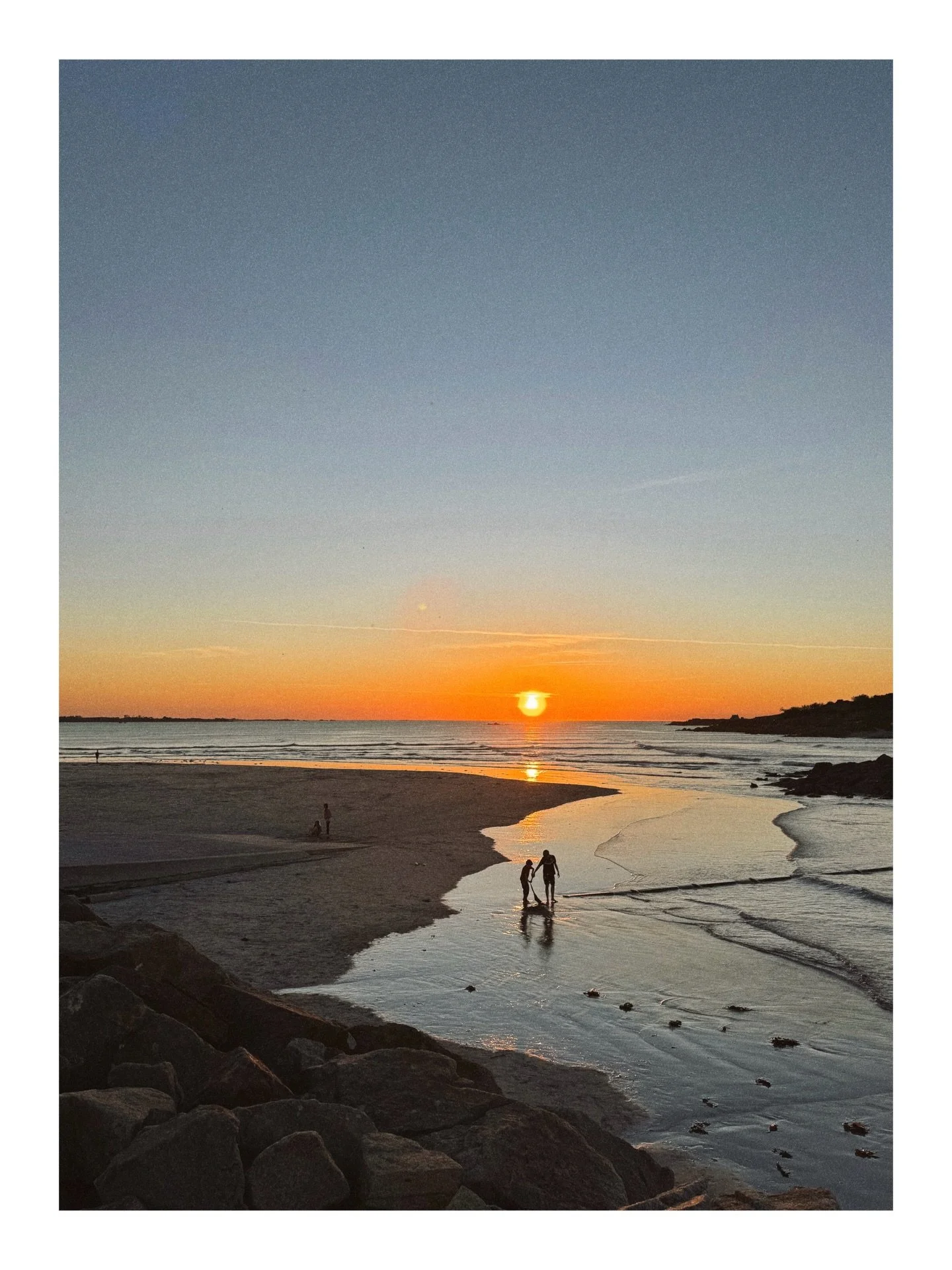 April dump 

__
#aprildump #roscoff #paris #work
