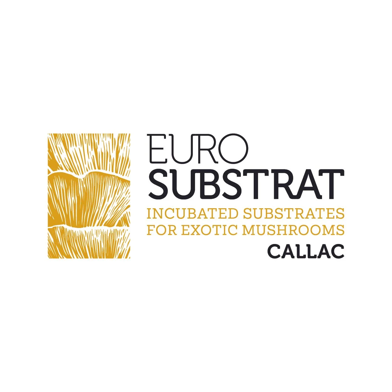 EUROSUBSTRAT_LOGO_RS.jpg