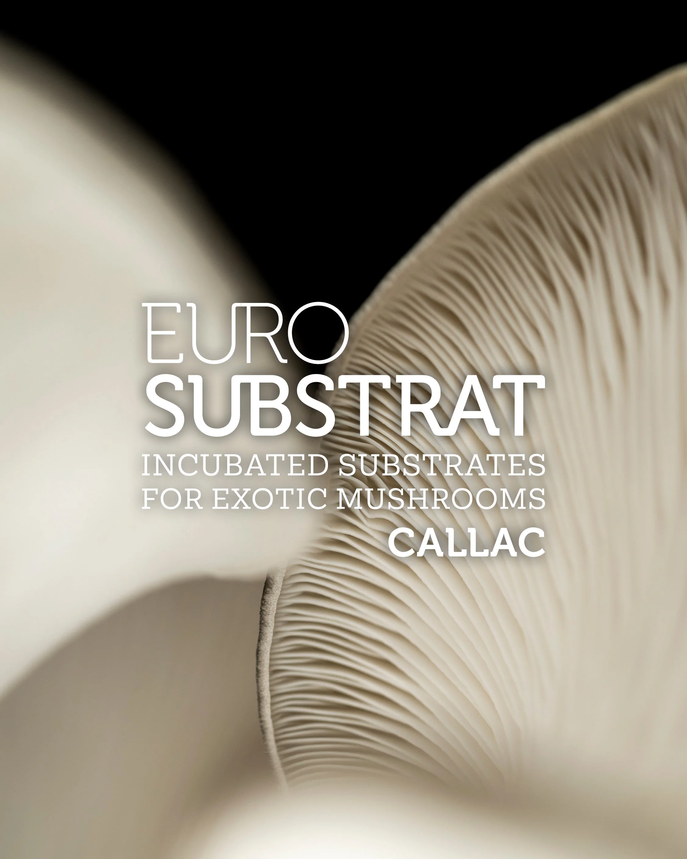 Eurosubstrat