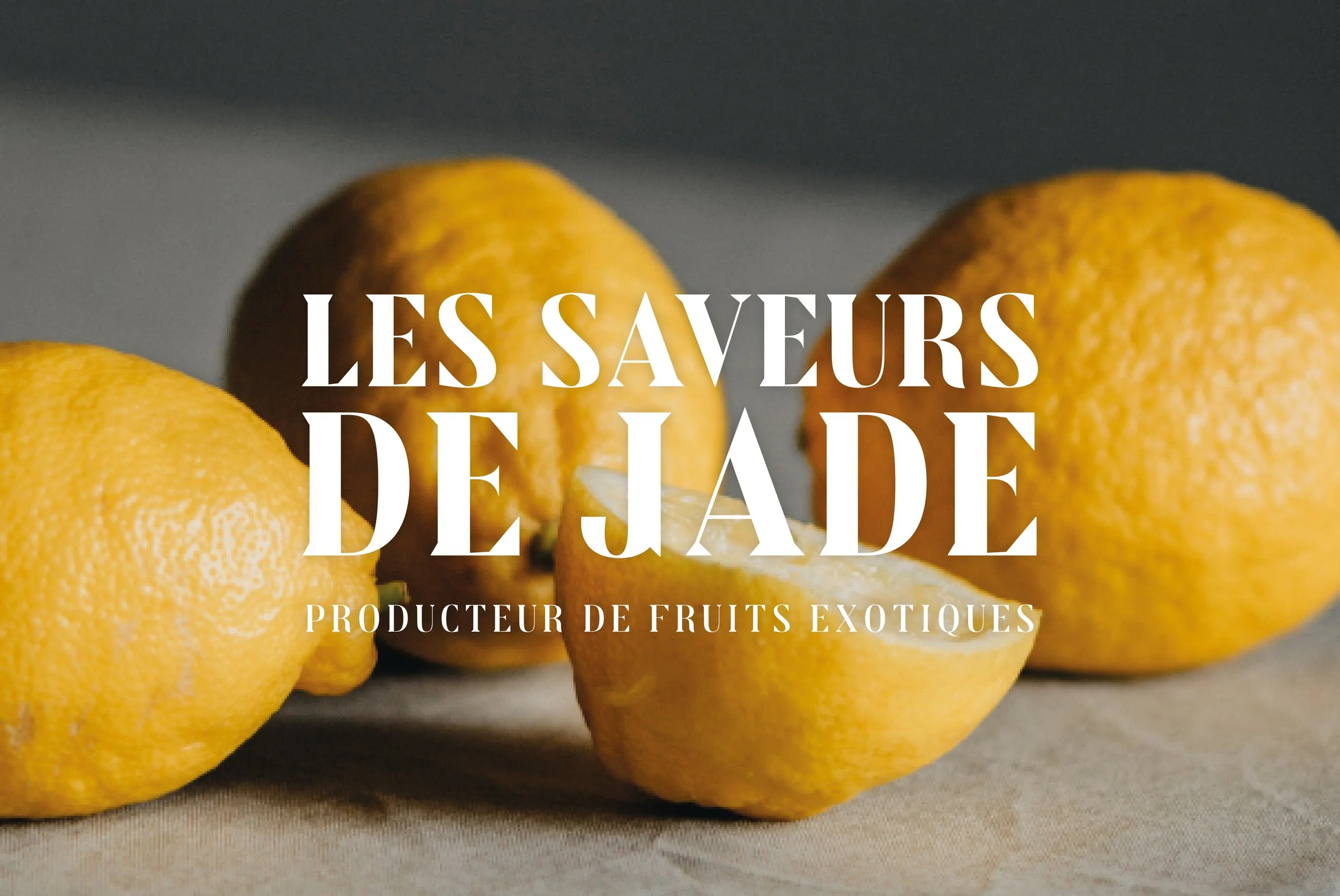 les saveurs de jade_logo.jpg