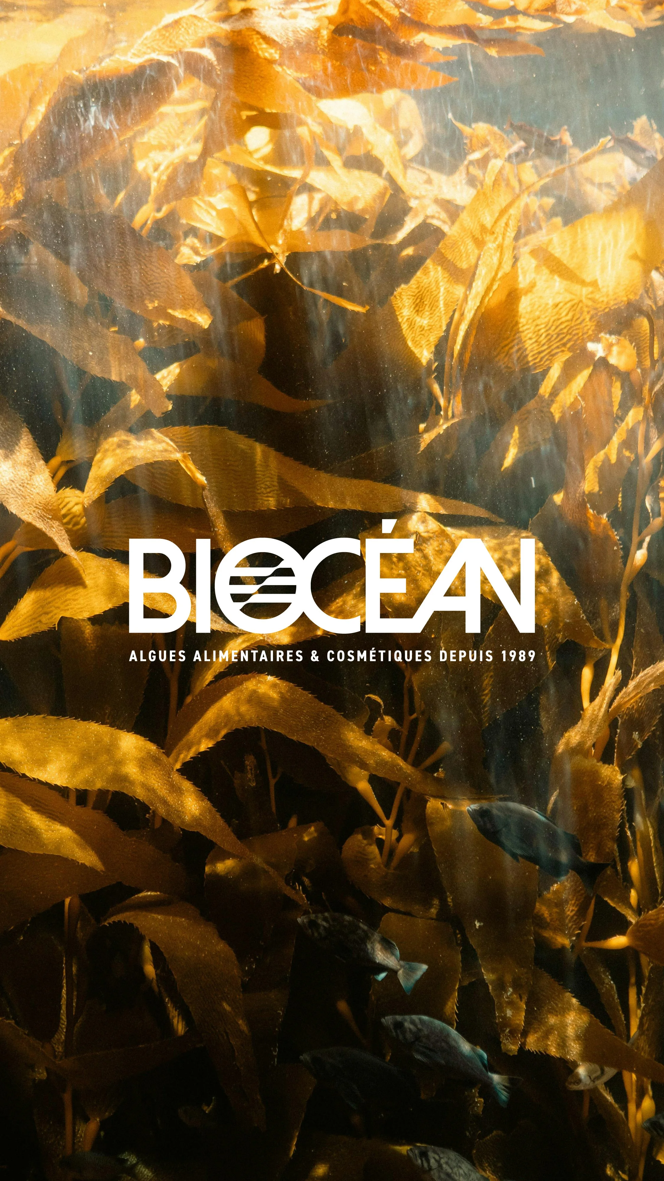 biocean_logo_laurene_kerbiriou_graphiste_70.jpg