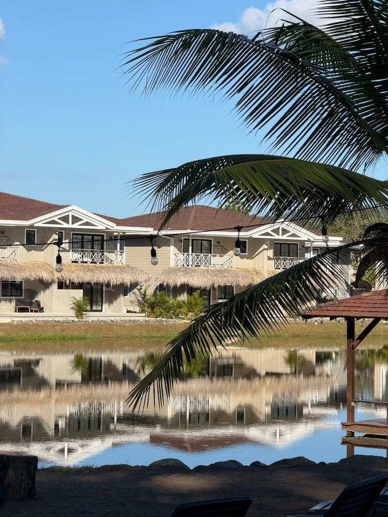 Wellness Real Estate