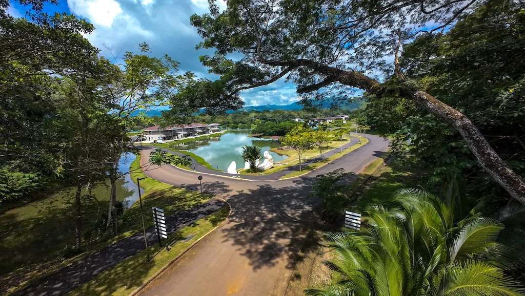 Wellness Real Estate