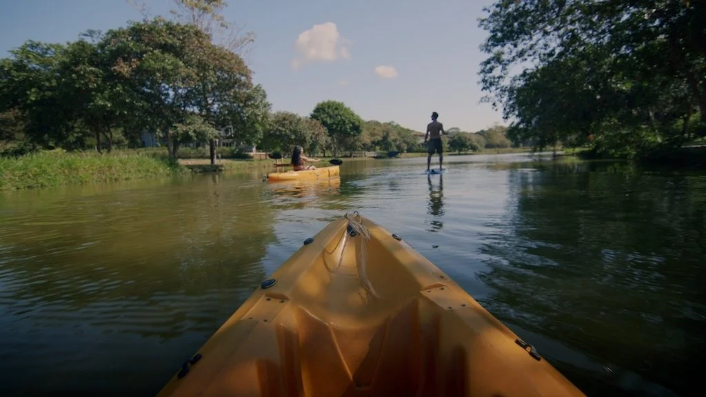 Wellness Real Estate