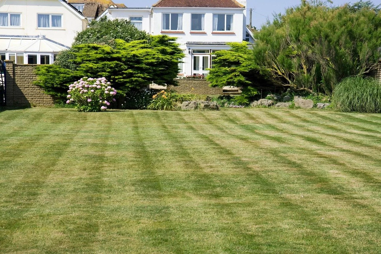 Green lawn and landscaping with trees