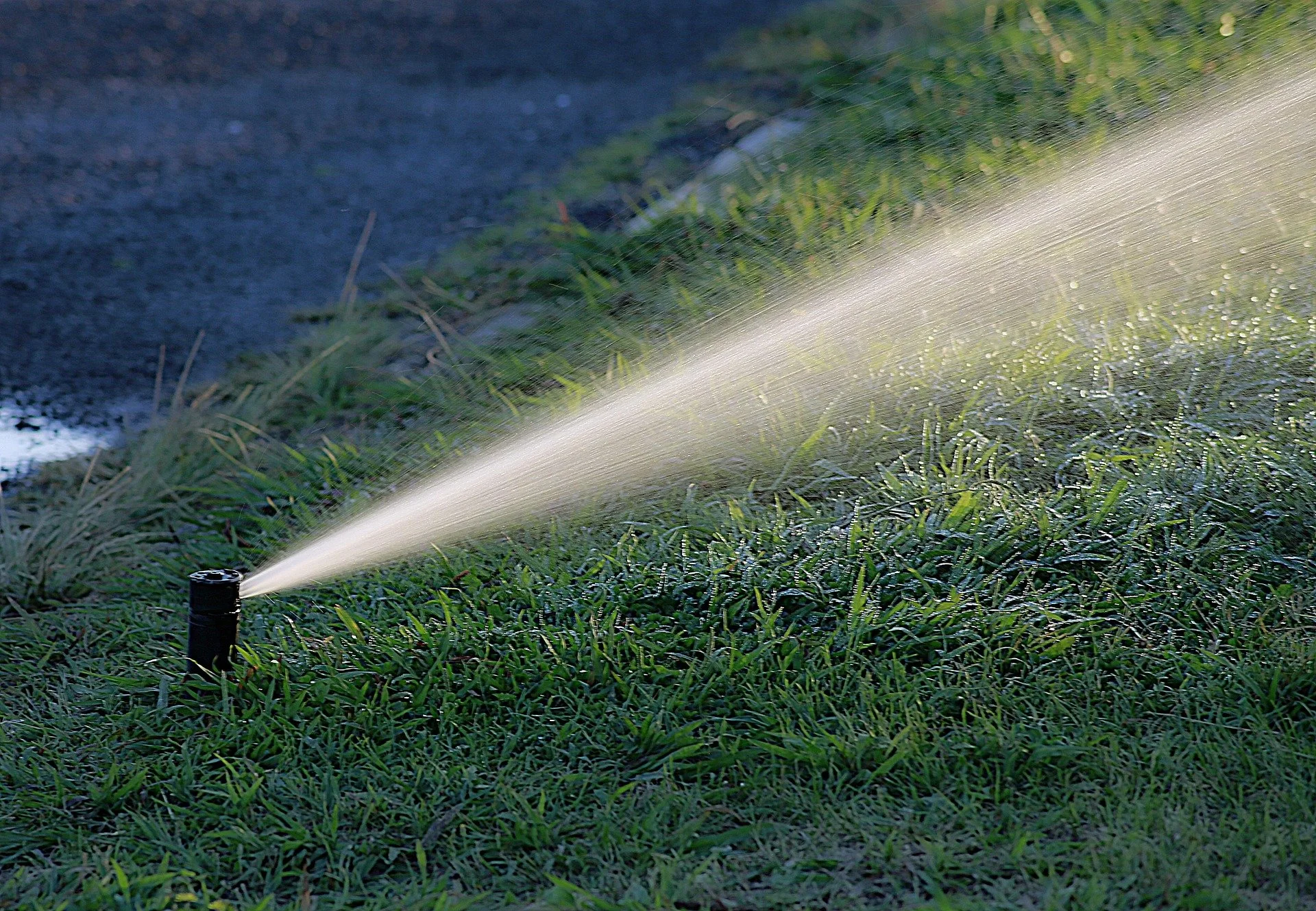 Commercial sprinkler head watering lawn - irrigation system service in North Houston