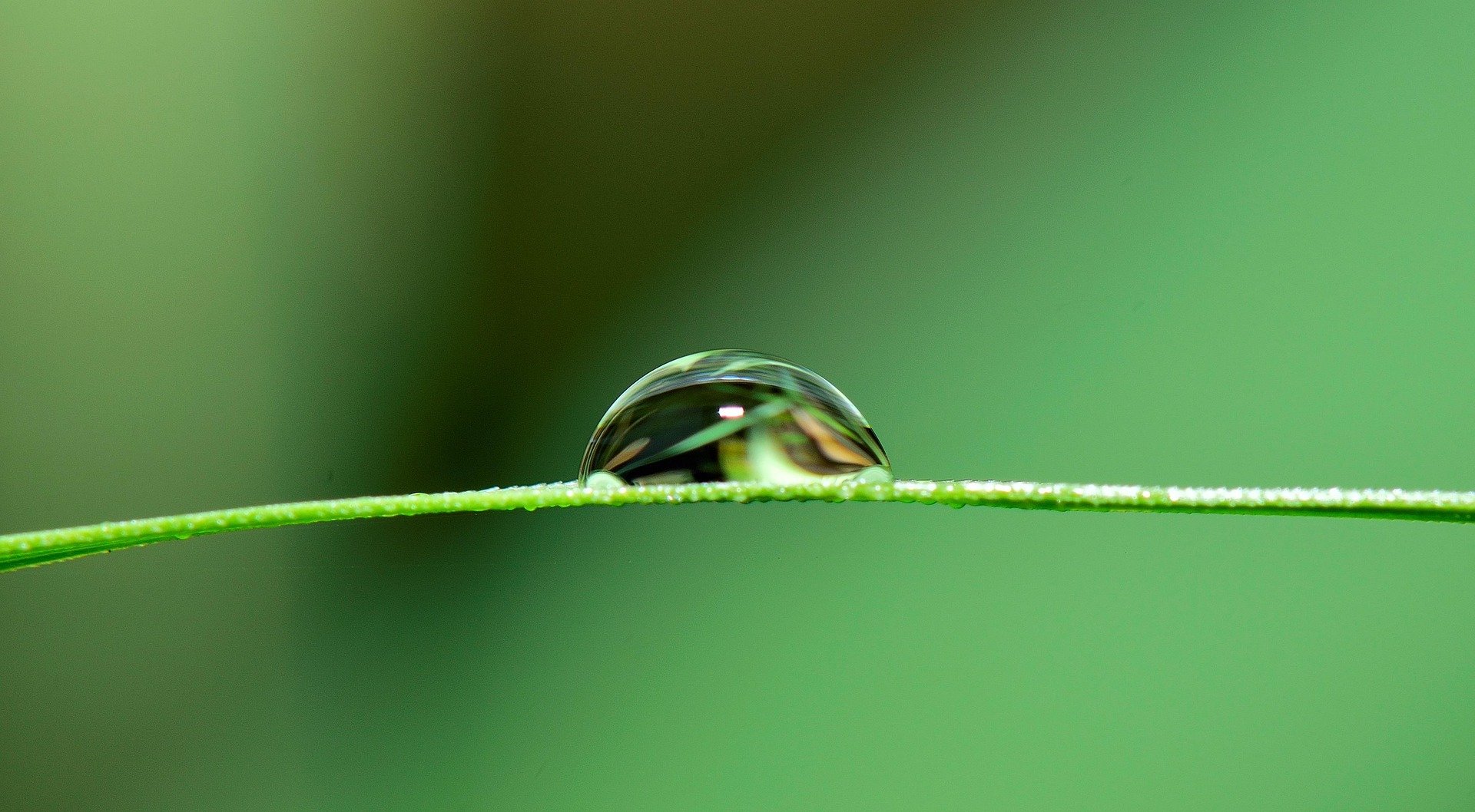 7 Signs Your Commercial Irrigation System Needs Repair in North Houston