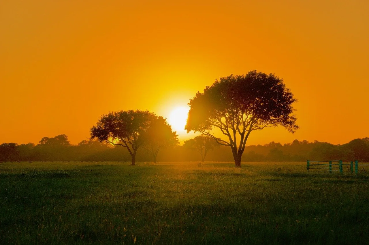 Texas sunset overlooking amazing lawn and trees