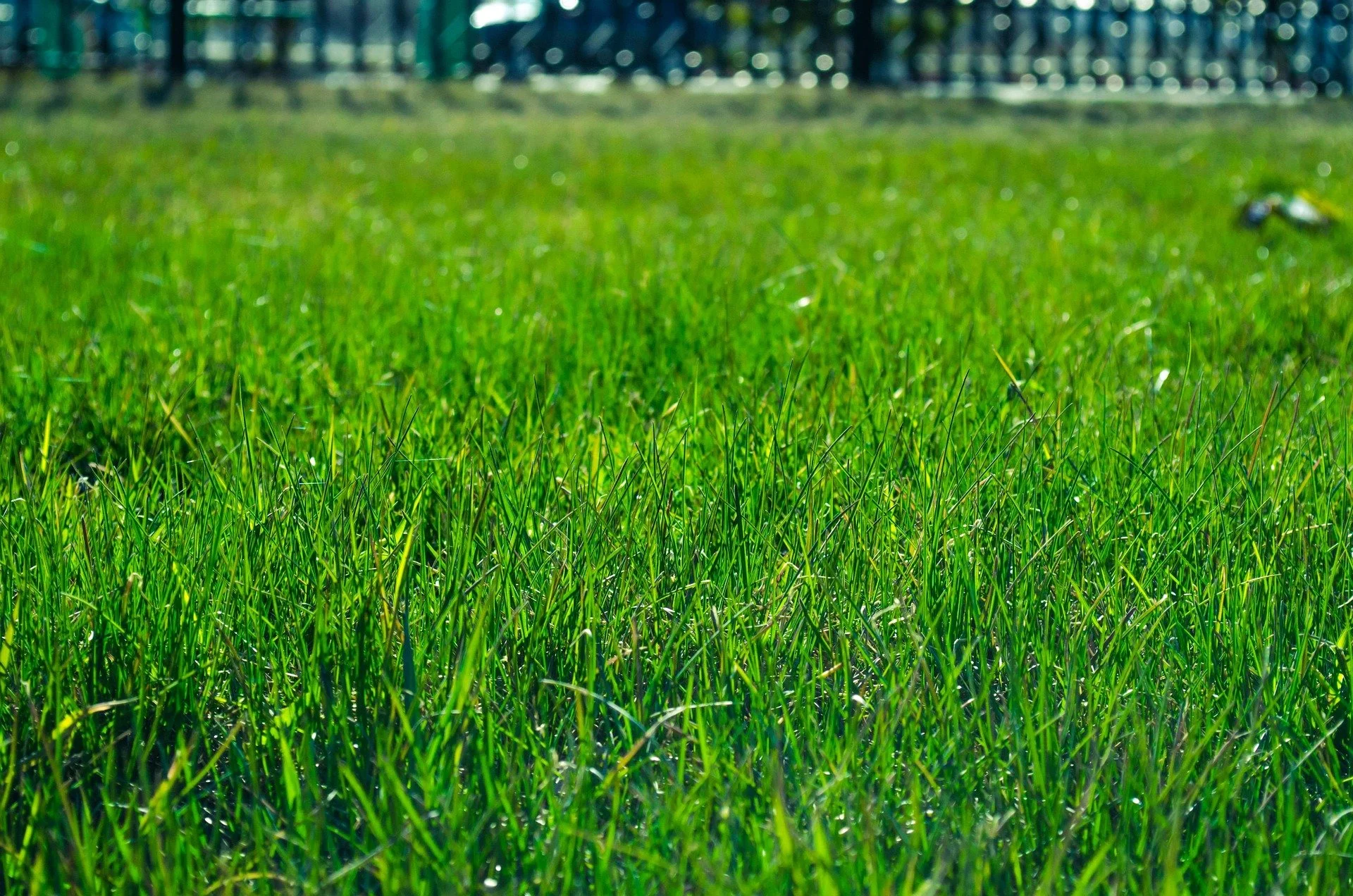 Commercial landscaping project in Tomball, Texas featuring a professionally maintained green lawn, ideal for business parks seeking expert commercial lawn maintenance services