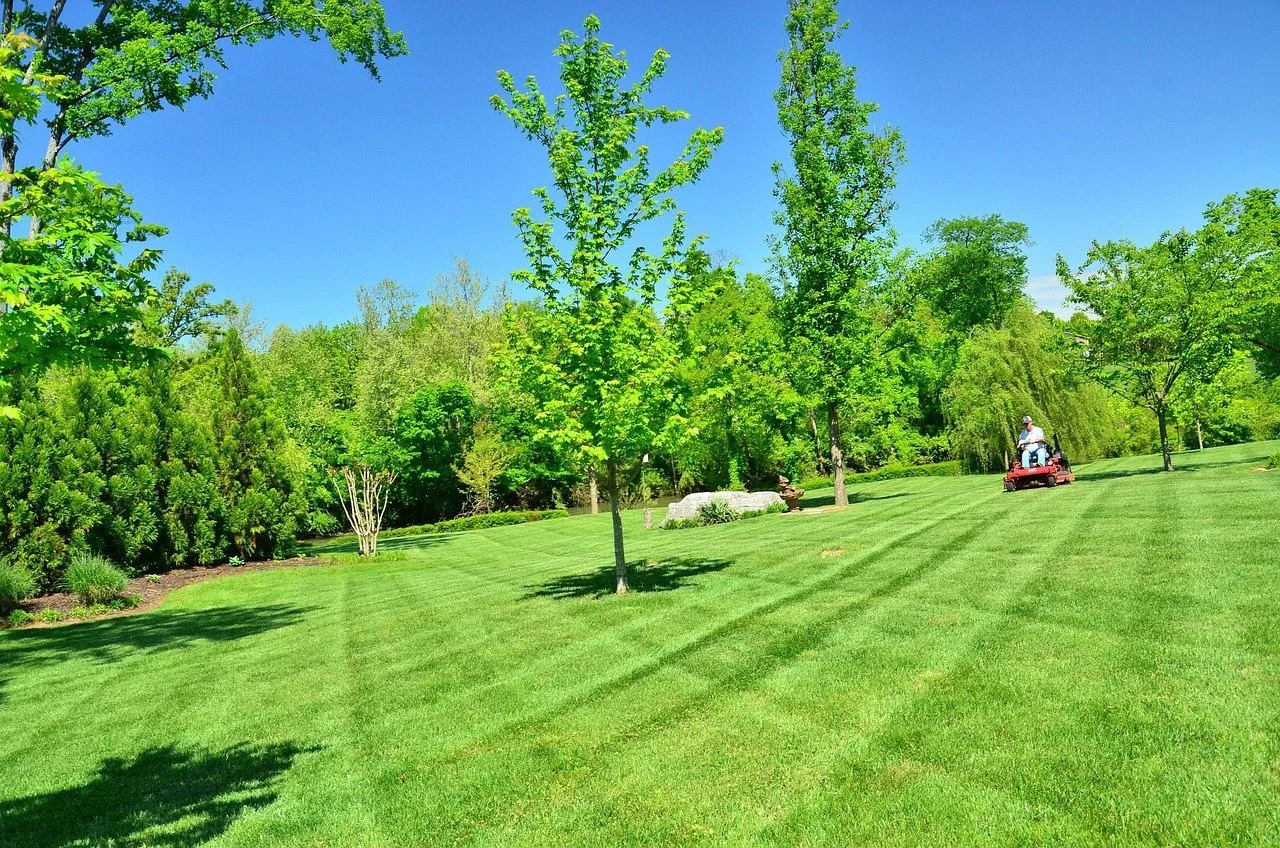 Lush green commercial lawn freshly mowed by professional landscaper in Atascocita, Texas