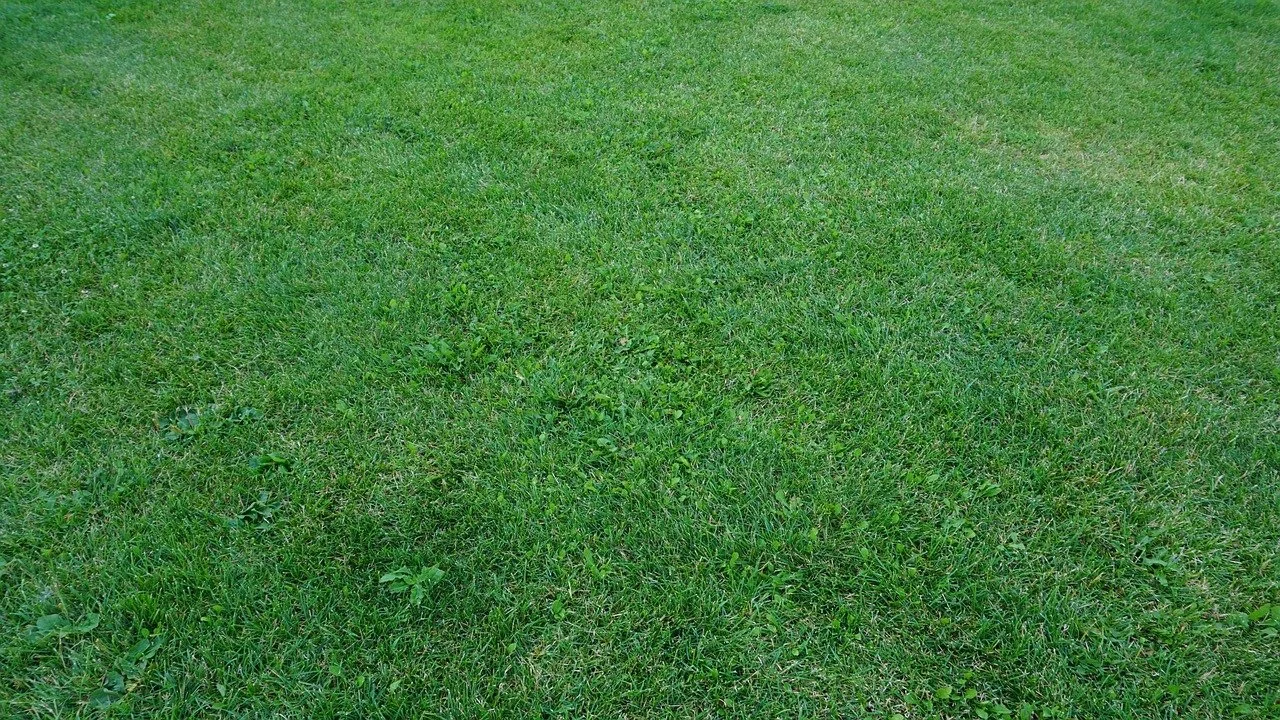 Professional landscaping contractors performing commercial lawn maintenance in Tomball, Texas for office buildings and HOAs, demonstrating reliable business landscaping solutions.