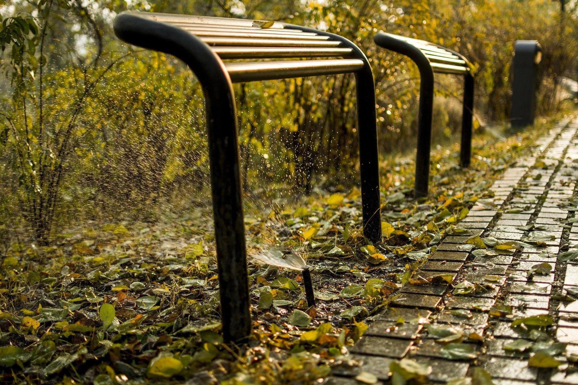 A row of black metal bike racks along a brick sidewalk, with fallen leaves and a spray of water from a sprinkler, in a park or garden during autumn.