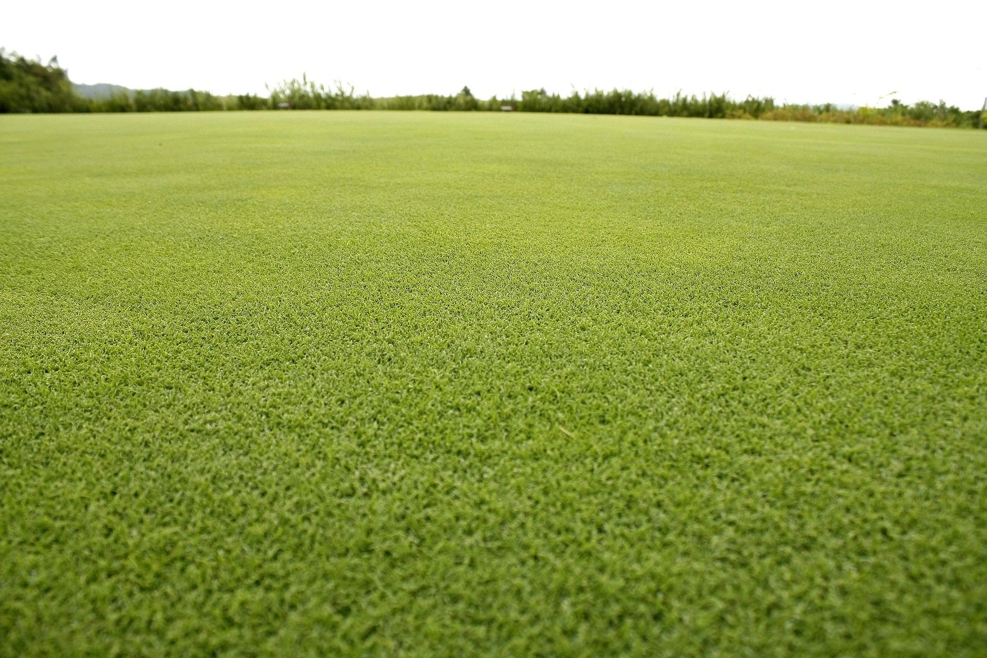 Close-up of a well-maintained golf course green with short, lush grass, extending into the distance under a cloudy sky.