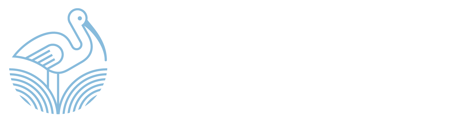 Ibis Group