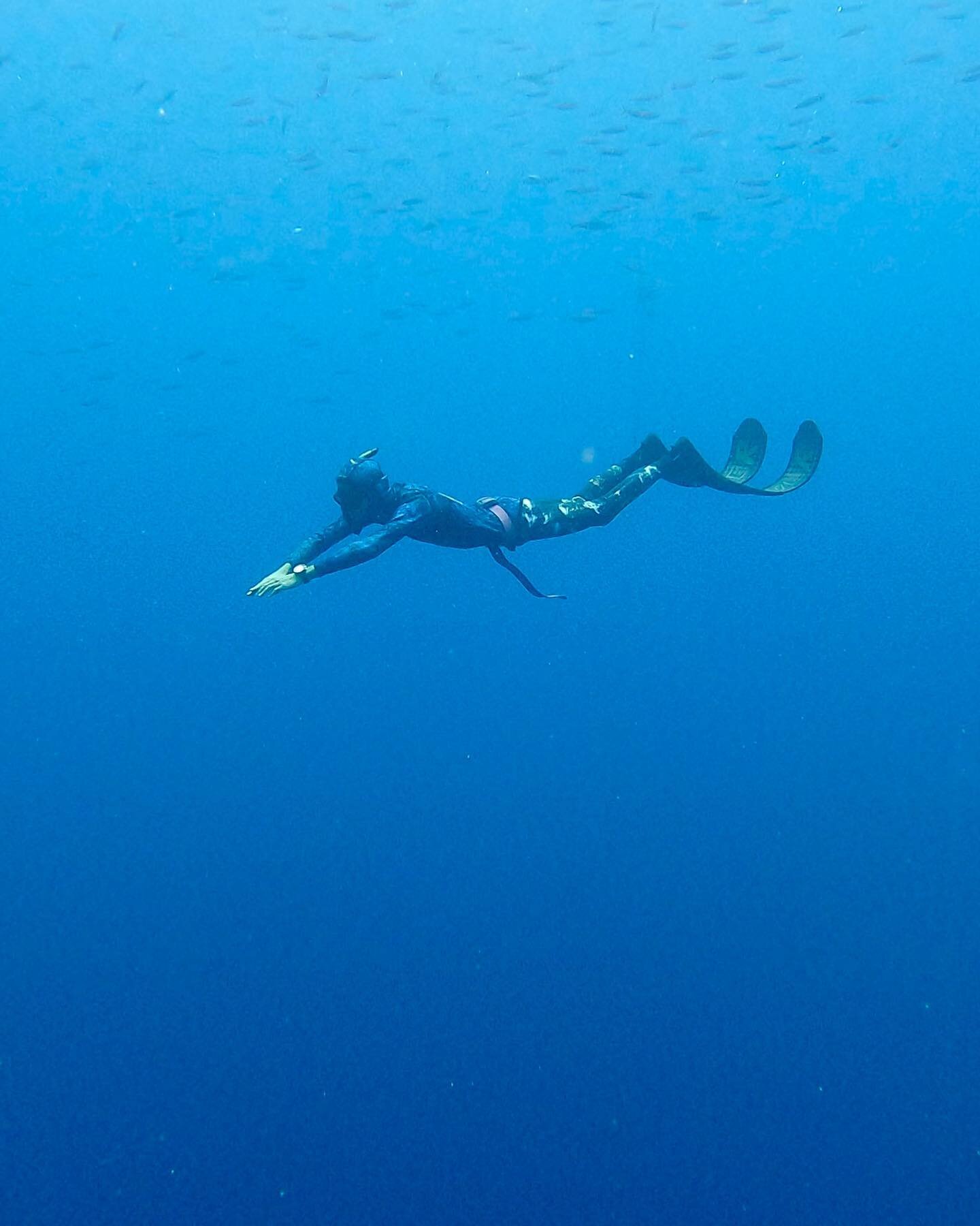 Diving into the weekend 🌊🤿🏝️

#freediving #ocean #holdyourbreath #divedeep #freedive #apnea #breathhold #freedivingcourse #keepcalm #mindfullness #travel #adventure #freediveinparadise #explore #underwater  #christmasisland #indianocean #vitaminse