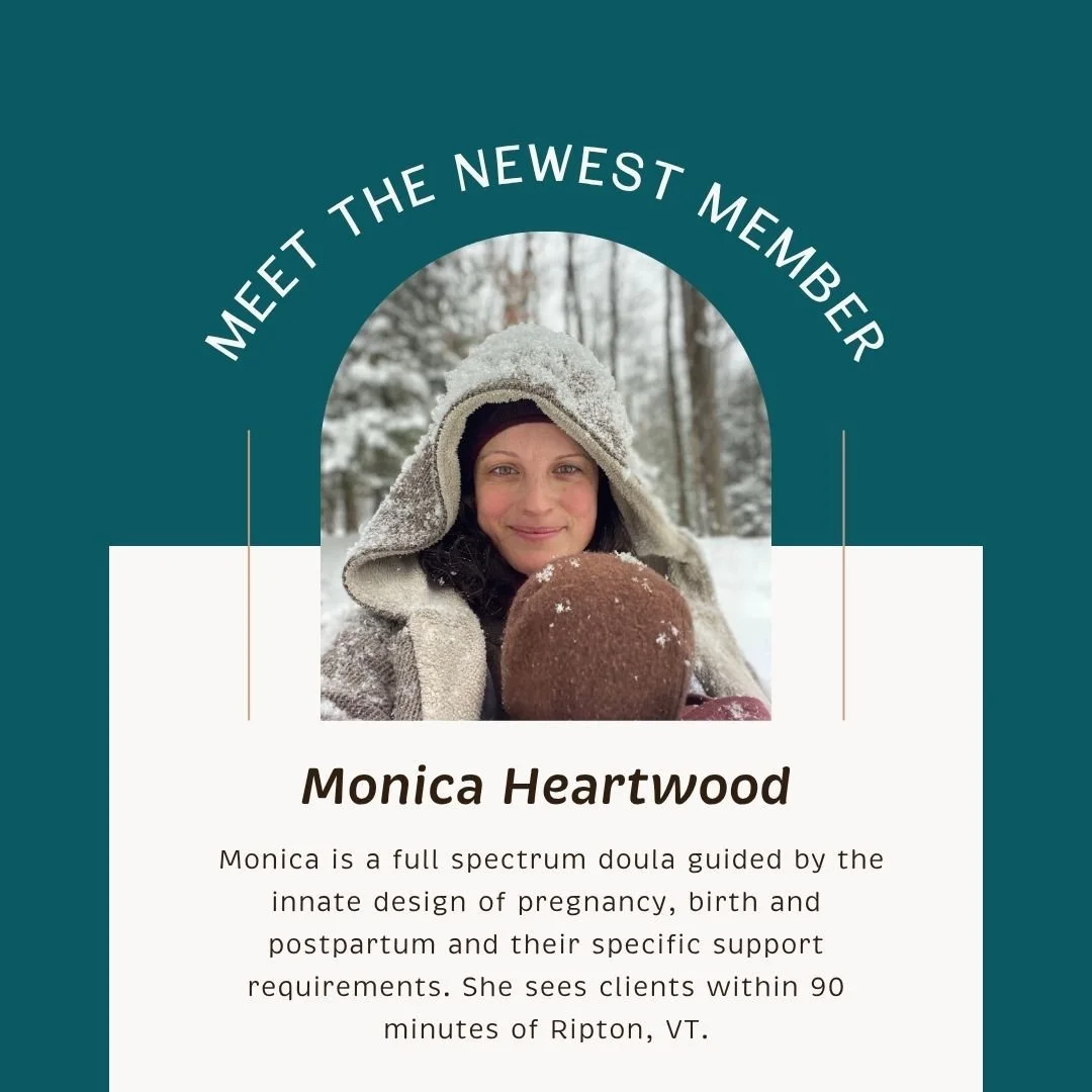 🌿 Welcome to the Vermont Birth Network, Monica! 🌿

We&rsquo;re so pleased to welcome Monica, a full spectrum doula, to our community.

A mother of two, Monica came to birthwork through her own deeply transformative birth and postpartum experiences.