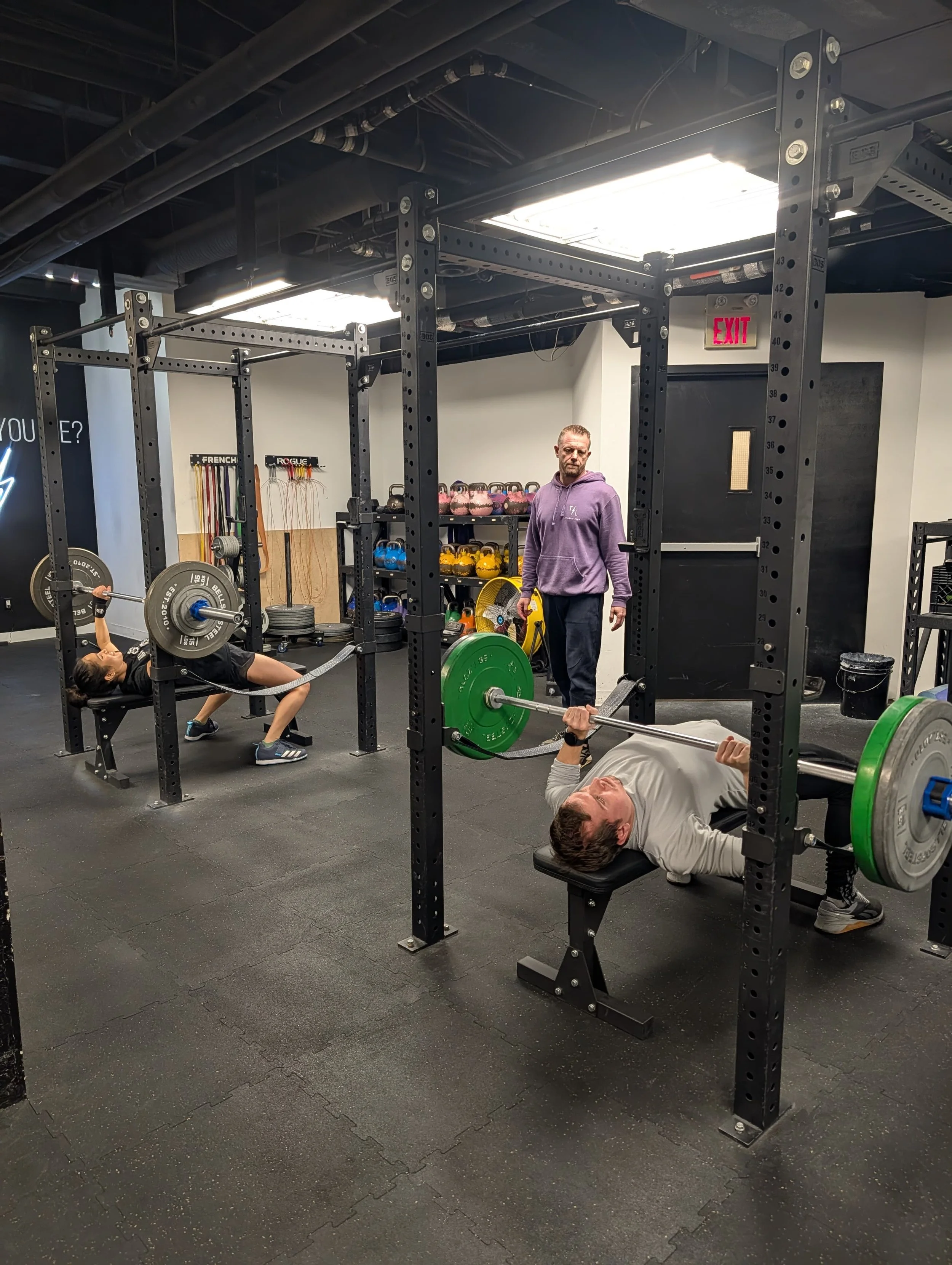 Powerlifting Coaching: Which Option Is Actually Right for You?